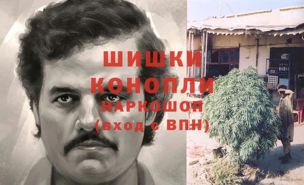 ПСИЛОЦИБИНОВЫЕ ГРИБЫ Беломорск