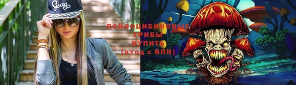 дурь Белокуриха