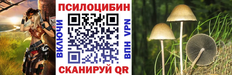Псилоцибиновые грибы Psilocybine cubensis кракен ССЫЛКА Лыткарино